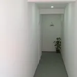 Vinarija 
