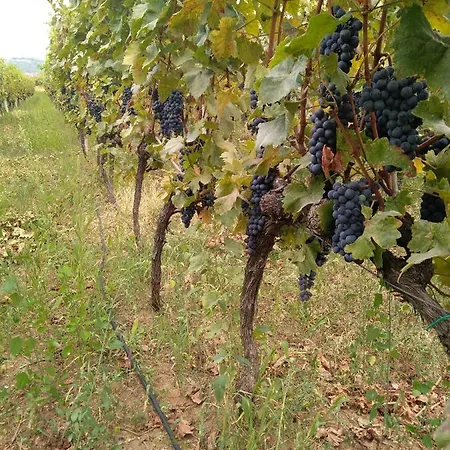 Pensión Vinarija 